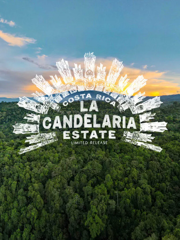 May's Limited Release