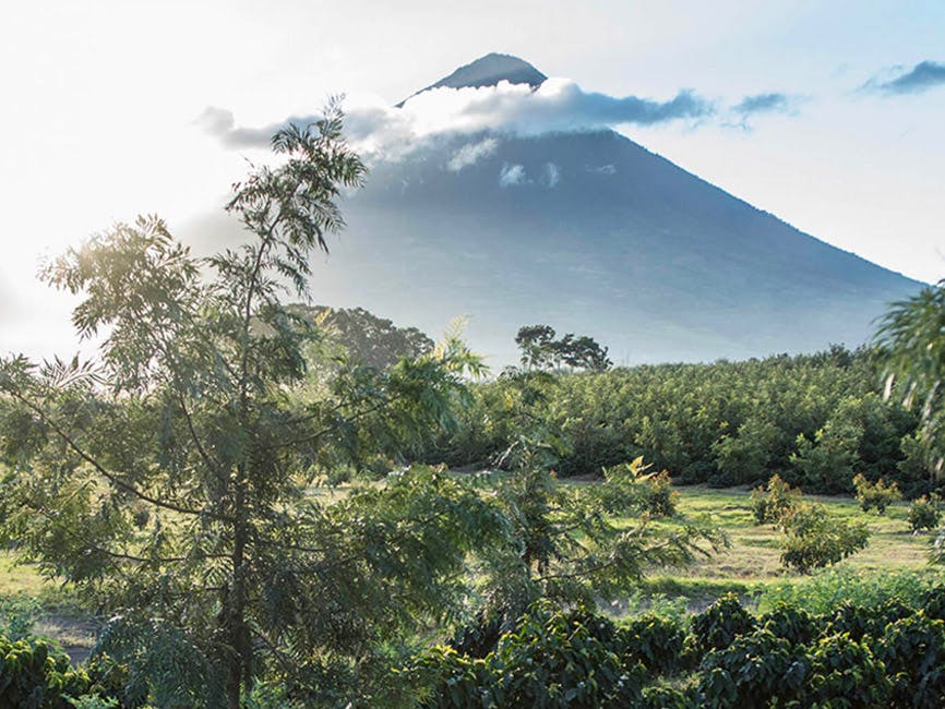 Single Origin Series