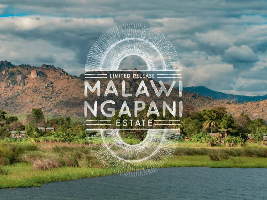 Malawi Ngapani Estate