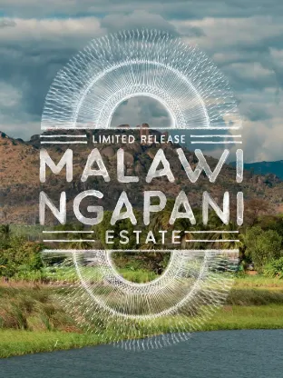 Malawi Ngapani Estate