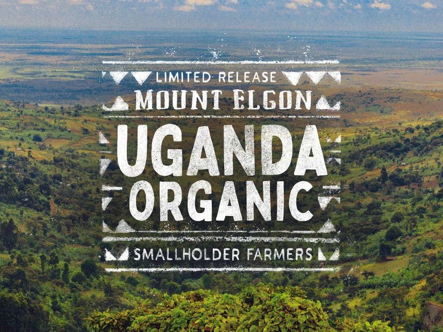 February's Limited Release