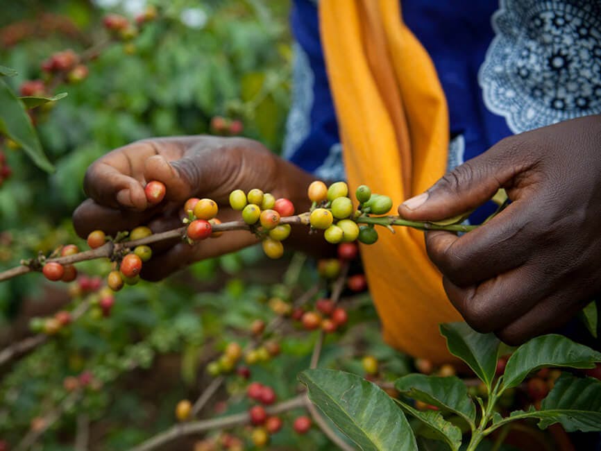 Sourcing with Impact