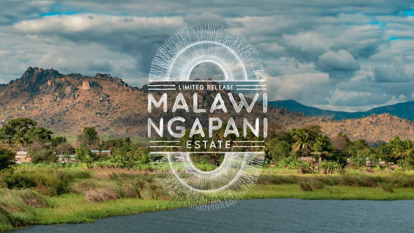 ROASTING IN NOVEMBER