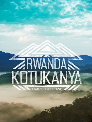 January's Limited Release