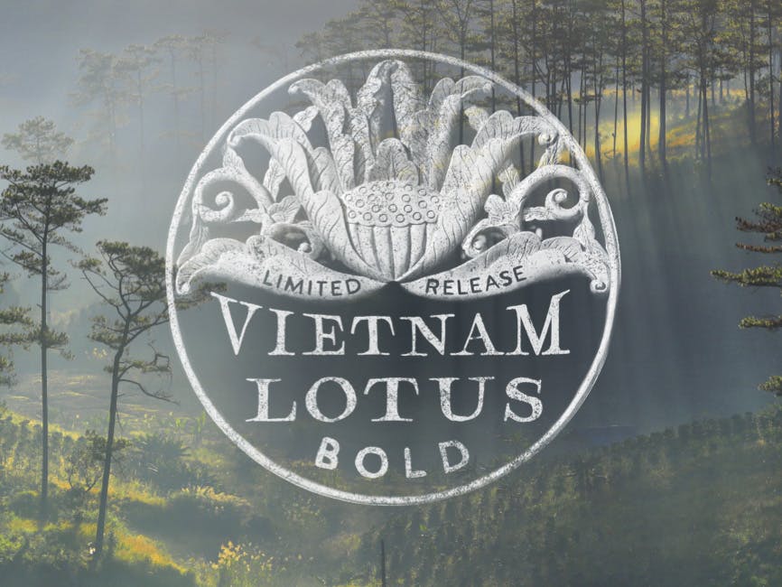 Vietnam Lotus Bold
