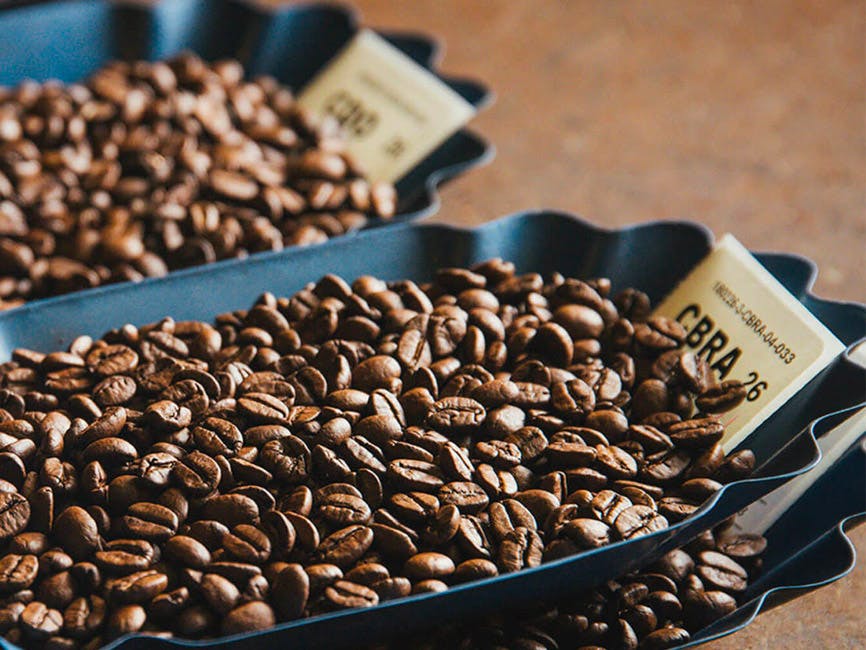 Signature Blend Series