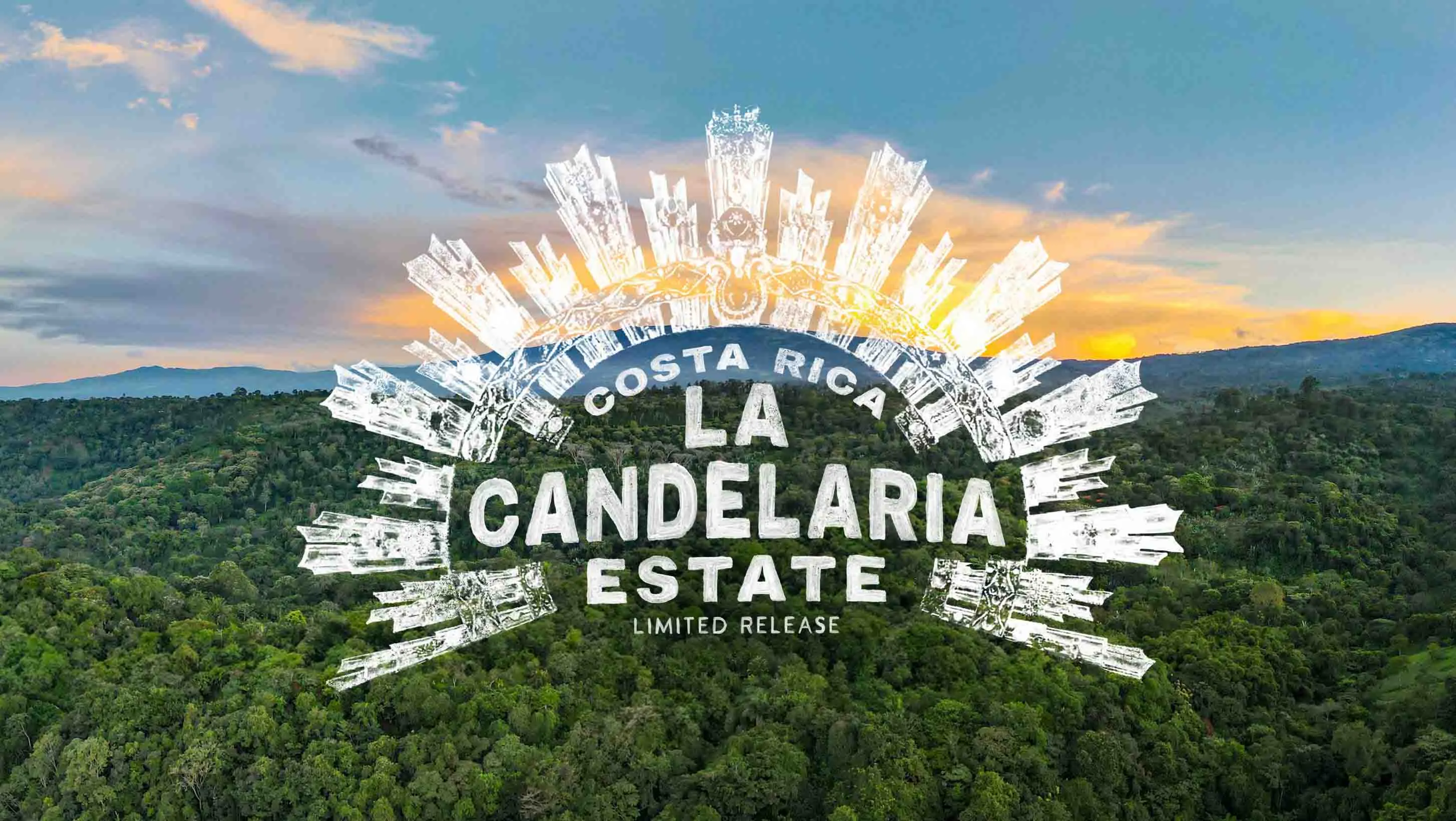 Costa Rica La Candelaria Estate limited time coffee