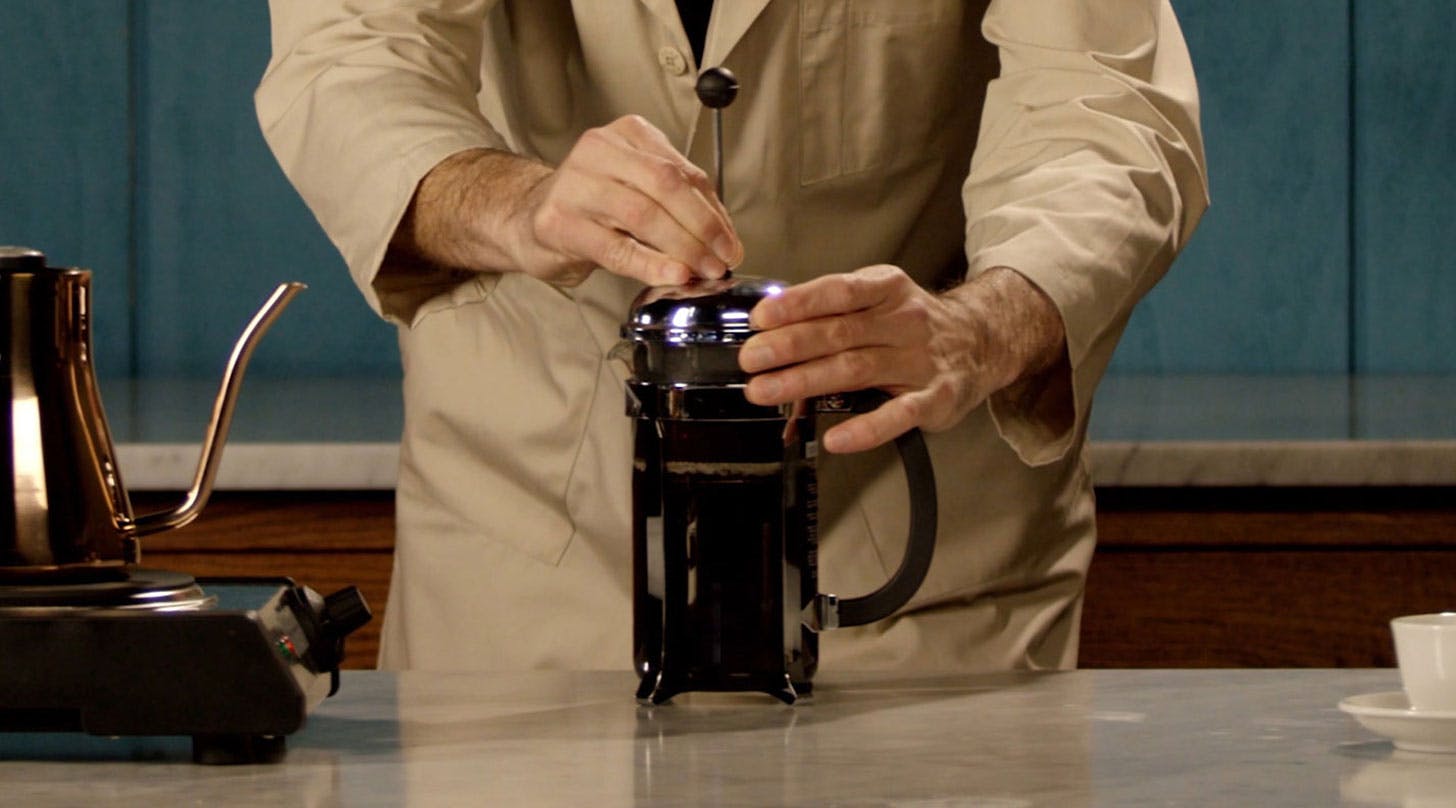 Brew Guide French Press Peet's Coffee