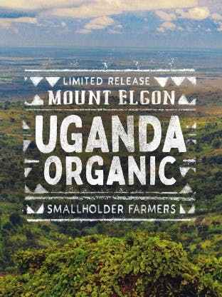 February's Limited Release