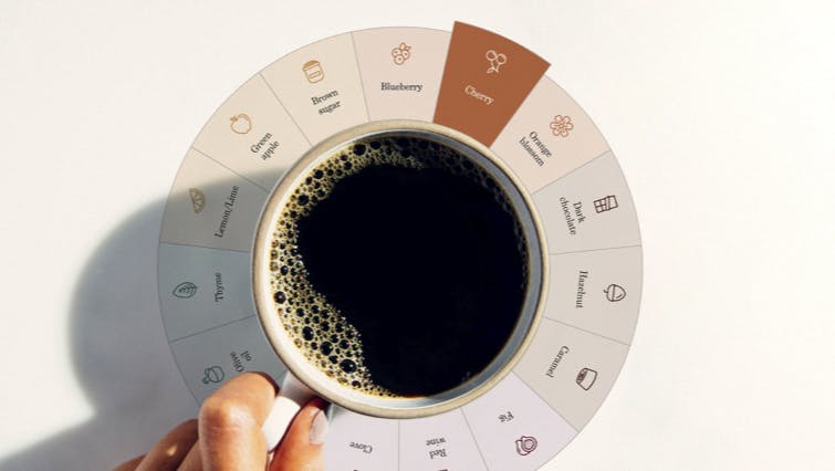 FIND YOUR TRUE MATCH