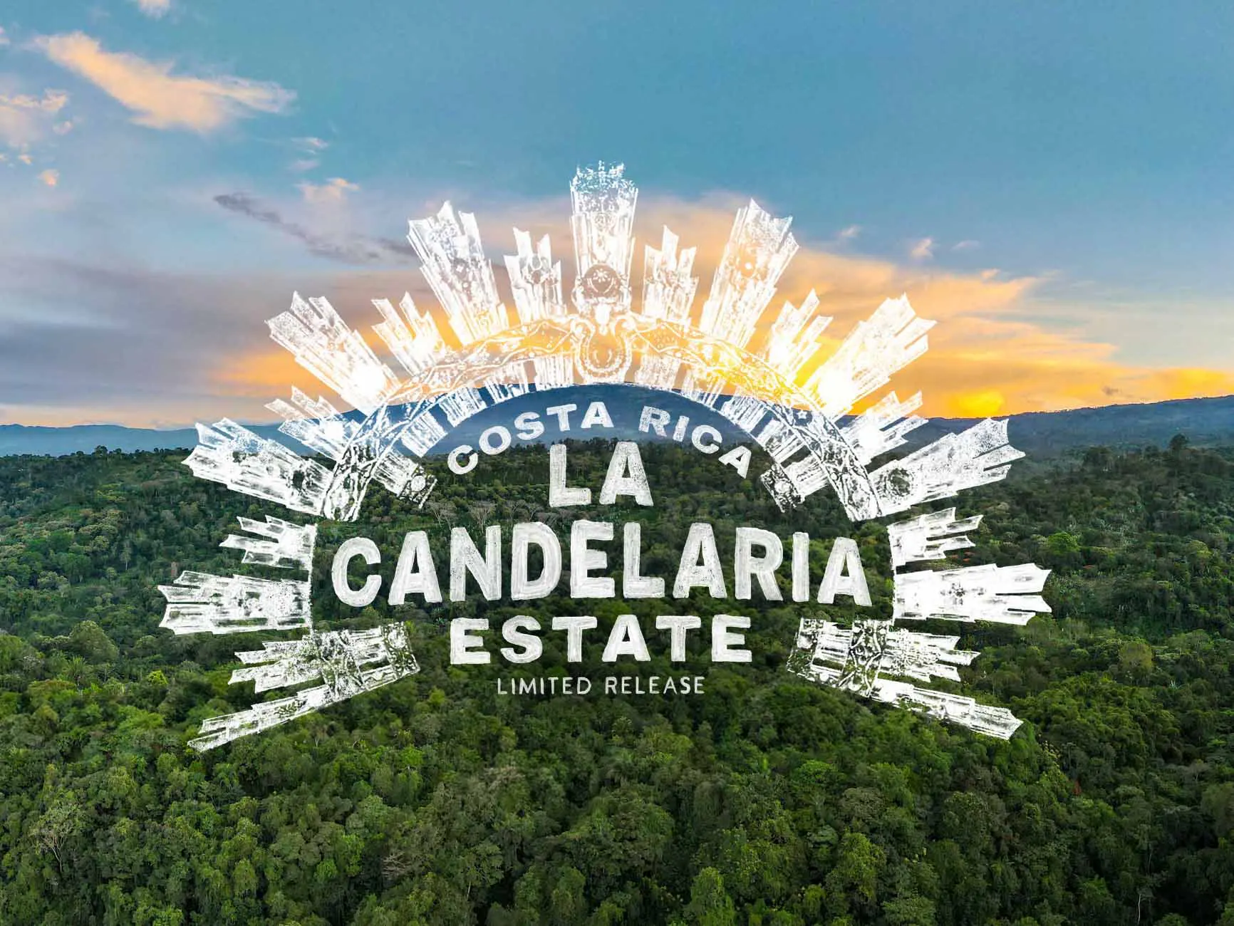 May's Limited Release